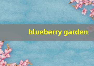 blueberry garden